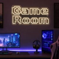 Custom Game Room LED neon sign for gaming setups and man caves. Contour-cut acrylic backing, silver