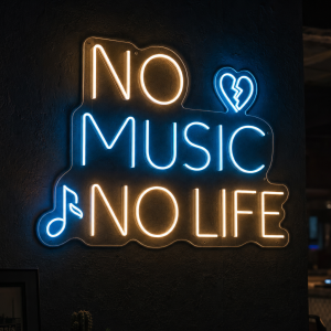 No Music No Life Neon Sign - LED Neon Sign Australia
