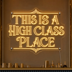This Is a High Class Place Neon Sign - LED neon sign on contour cut clear acrylic